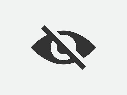 Toggle Password